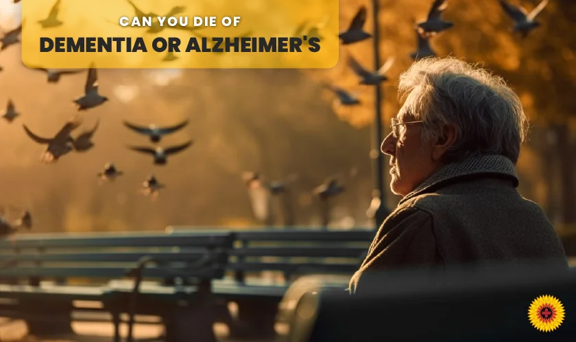 How-can-you-tell-if-you-have-dementia-or-Alzheimers-And-can-you-die-of-dementia-or-Alzheimers-1 (1)