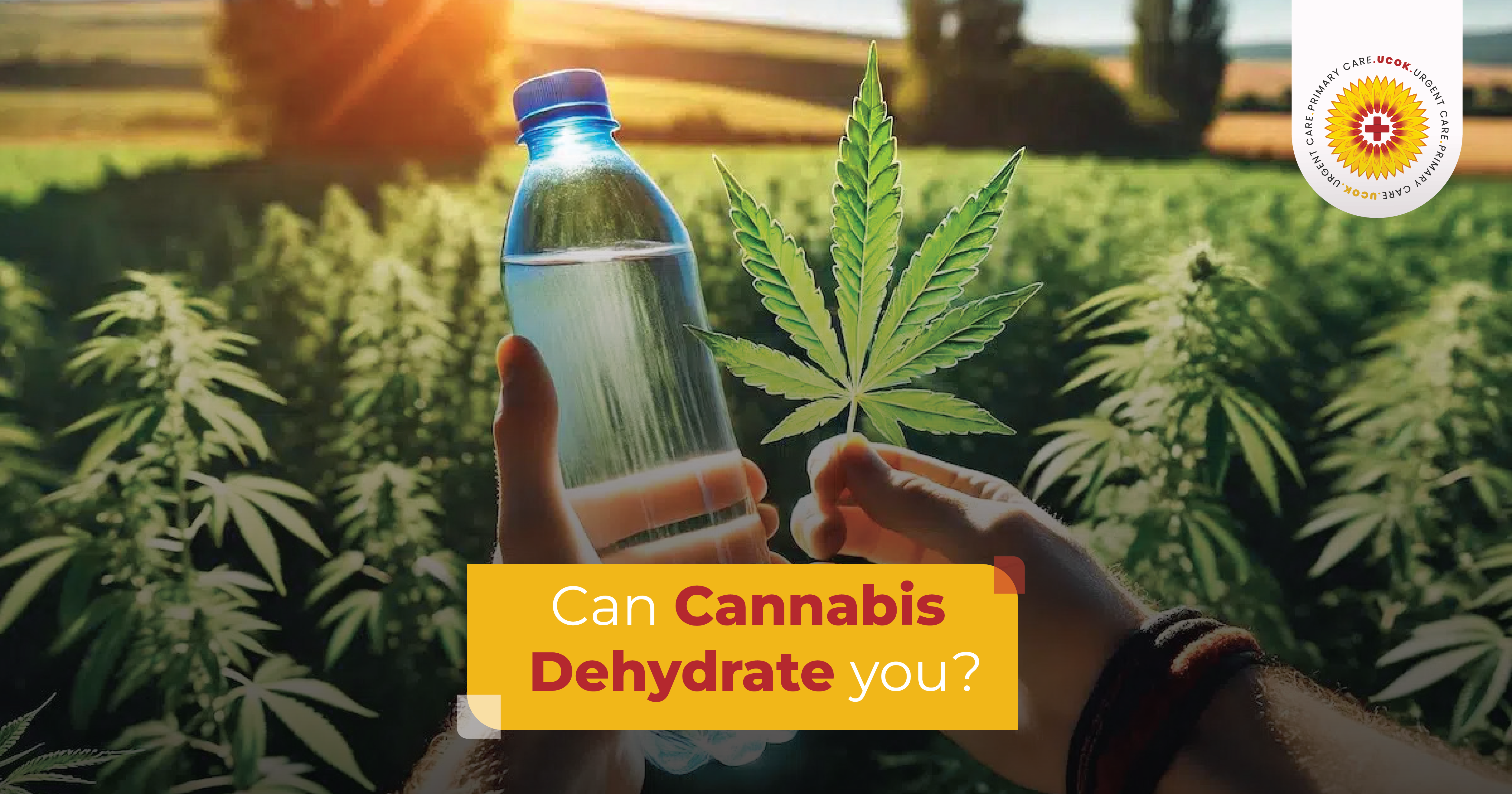 Can Cannabis Dehydrate You